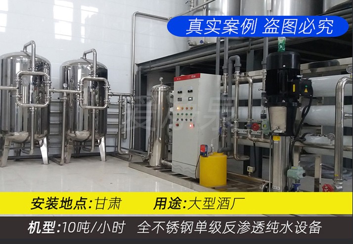 甘肃 10吨/小时 全不锈钢单级反渗透纯水设备